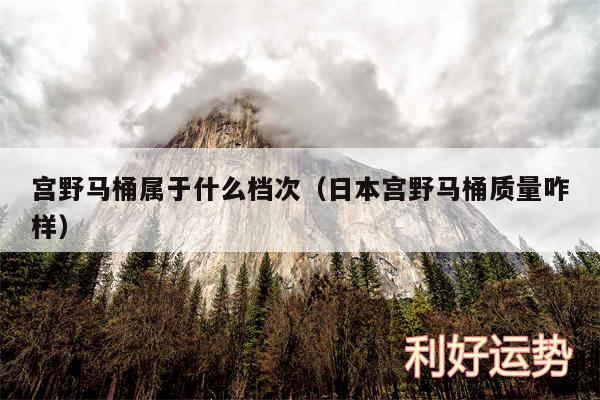 宫野马桶属于什么档次以及日本宫野马桶质量咋样