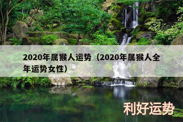 2020年属猴人运势以及2020年属猴人全年运势女性