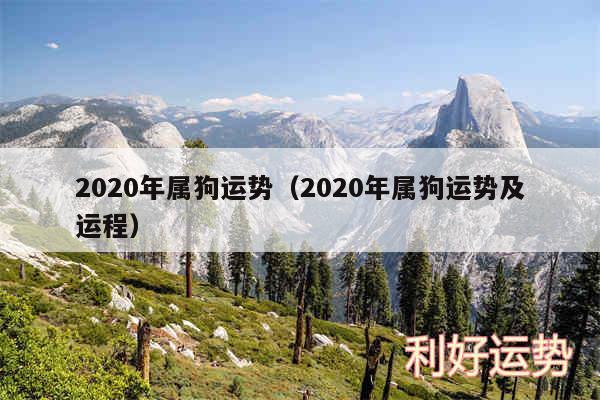 2020年属狗运势以及2020年属狗运势及运程