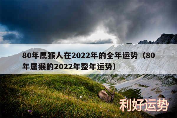 80年属猴人在2024年的全年运势以及80年属猴的2024年整年运势