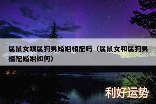 属鼠女跟属狗男婚姻相配吗以及属鼠女和属狗男相配婚姻如何