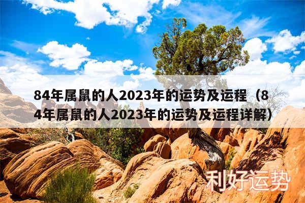 84年属鼠的人2024年的运势及运程以及84年属鼠的人2024年的运势及运程详解