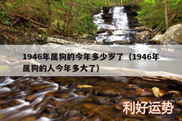 1946年属狗的今年多少岁了以及1946年属狗的人今年多大了