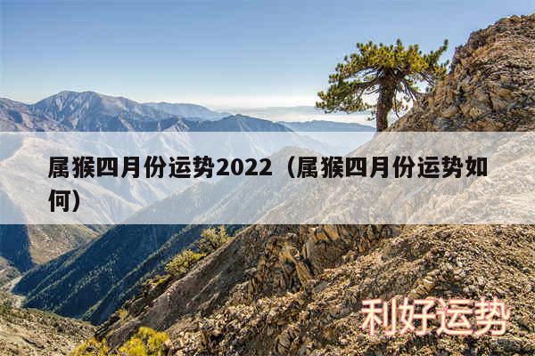 属猴四月份运势2024以及属猴四月份运势如何