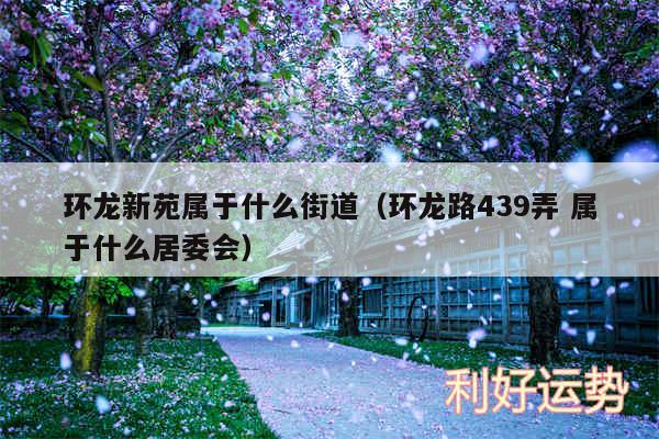 环龙新苑属于什么街道以及环龙路439弄 属于什么居委会