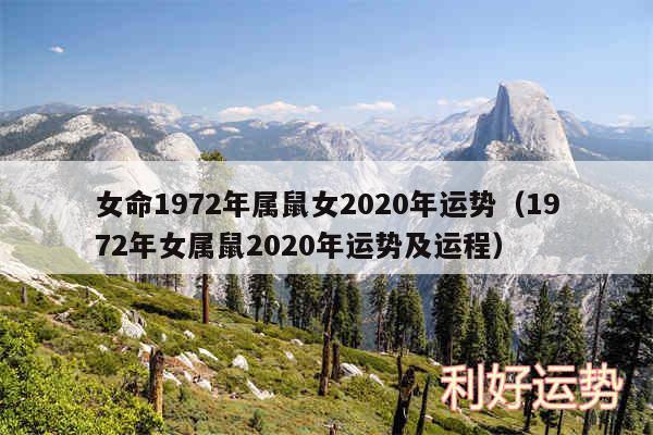 女命1972年属鼠女2020年运势以及1972年女属鼠2020年运势及运程