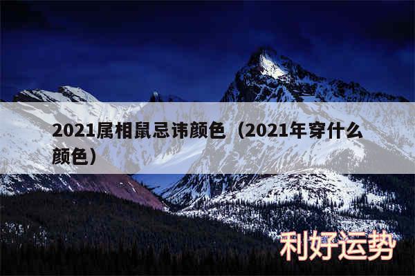 2024属相鼠忌讳颜色以及2024年穿什么颜色