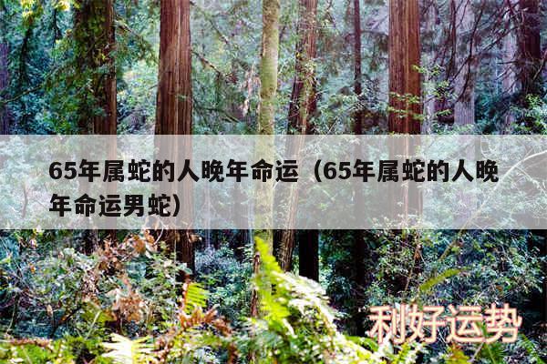 65年属蛇的人晚年命运以及65年属蛇的人晚年命运男蛇