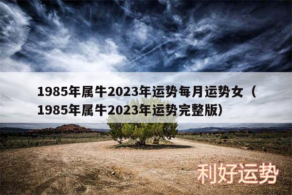 1985年属牛2024年运势每月运势女以及1985年属牛2024年运势完整版