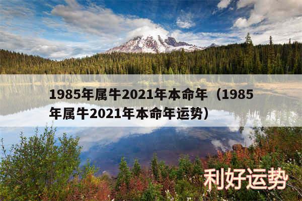 1985年属牛2024年本命年以及1985年属牛2024年本命年运势