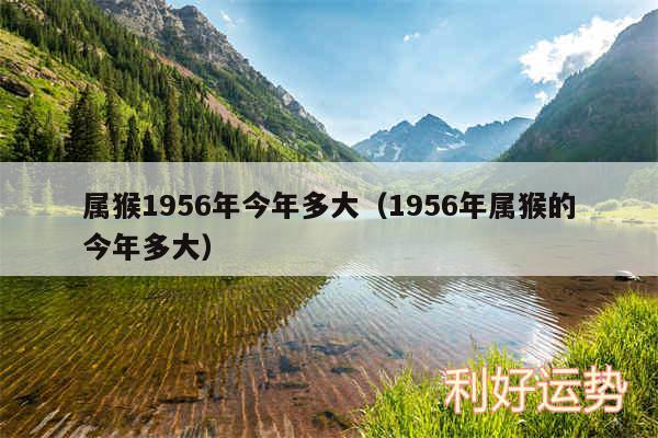 属猴1956年今年多大以及1956年属猴的今年多大