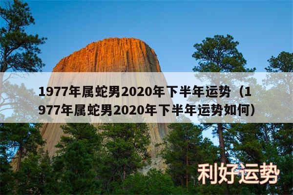 1977年属蛇男2020年下半年运势以及1977年属蛇男2020年下半年运势如何