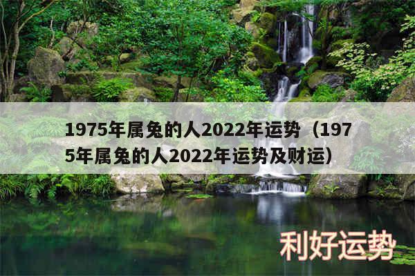 1975年属兔的人2024年运势以及1975年属兔的人2024年运势及财运