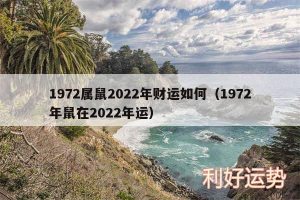 1972属鼠2024年财运如何以及1972年鼠在2024年运