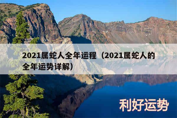 2024属蛇人全年运程以及2024属蛇人的全年运势详解