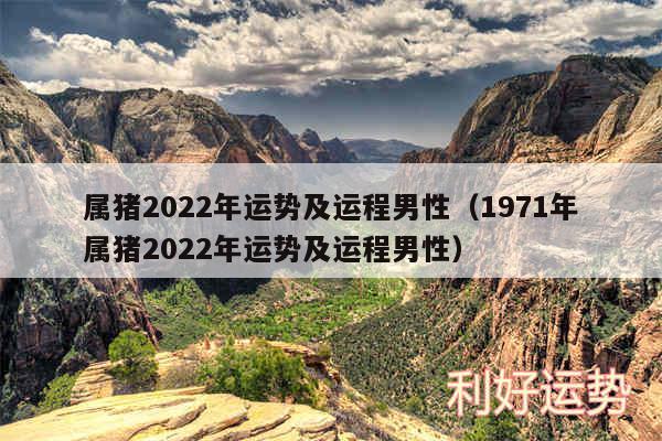 属猪2024年运势及运程男性以及1971年属猪2024年运势及运程男性