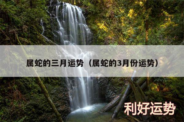 属蛇的三月运势以及属蛇的3月份运势