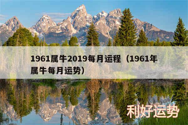 1961属牛2019每月运程以及1961年属牛每月运势