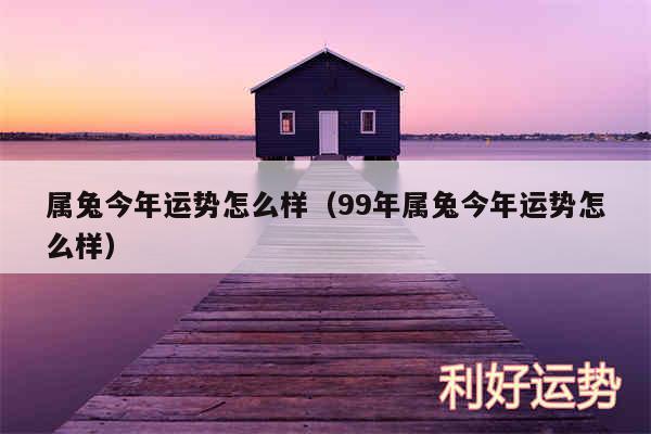 属兔今年运势怎么样以及99年属兔今年运势怎么样