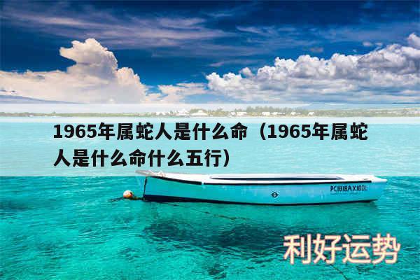 1965年属蛇人是什么命以及1965年属蛇人是什么命什么五行