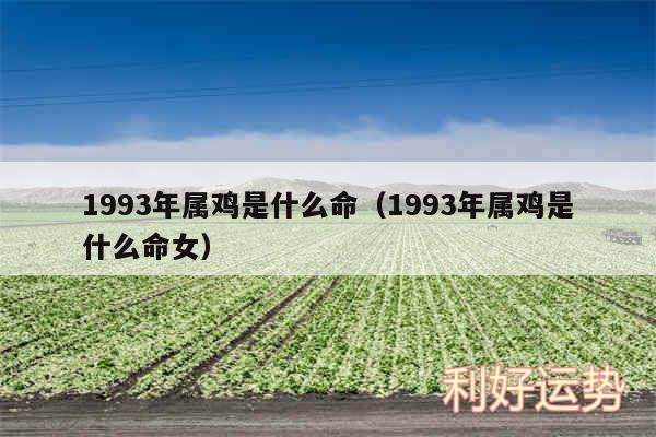1993年属鸡是什么命以及1993年属鸡是什么命女