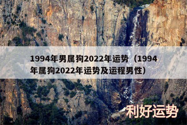 1994年男属狗2024年运势以及1994年属狗2024年运势及运程男性