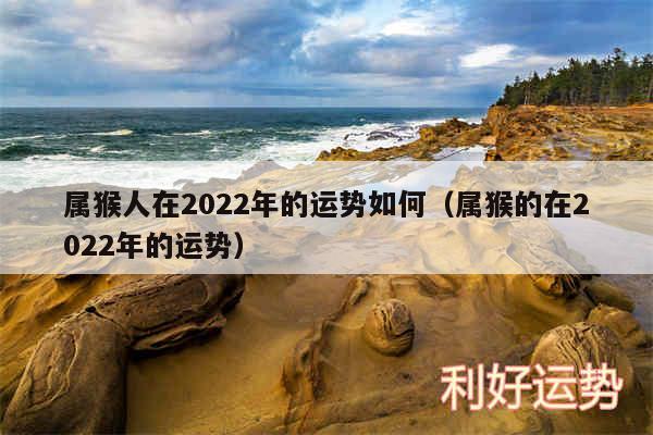 属猴人在2024年的运势如何以及属猴的在2024年的运势