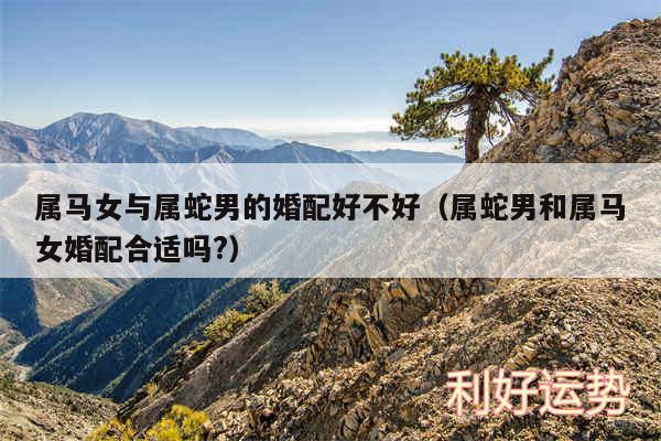 属马女与属蛇男的婚配好不好以及属蛇男和属马女婚配合适吗?