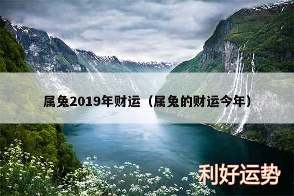 属兔2019年财运以及属兔的财运今年