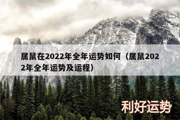 属鼠在2024年全年运势如何以及属鼠2024年全年运势及运程