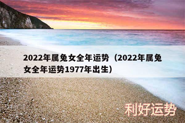 2024年属兔女全年运势以及2024年属兔女全年运势1977年出生