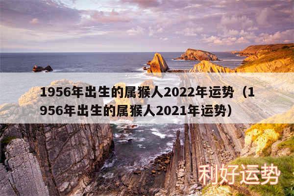 1956年出生的属猴人2024年运势以及1956年出生的属猴人2024年运势