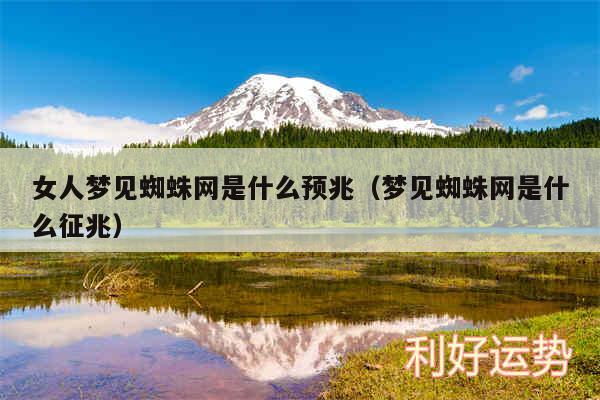 女人梦见蜘蛛网是什么预兆以及梦见蜘蛛网是什么征兆