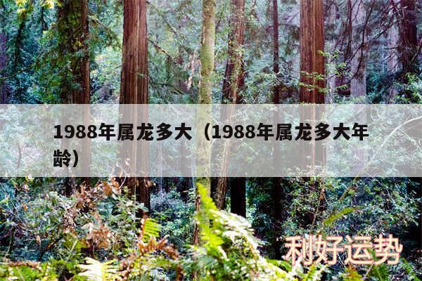 1988年属龙多大以及1988年属龙多大年龄