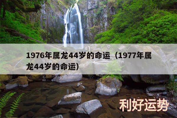 1976年属龙44岁的命运以及1977年属龙44岁的命运