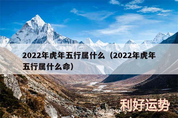 2024年虎年五行属什么以及2024年虎年五行属什么命