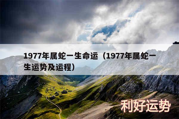 1977年属蛇一生命运以及1977年属蛇一生运势及运程