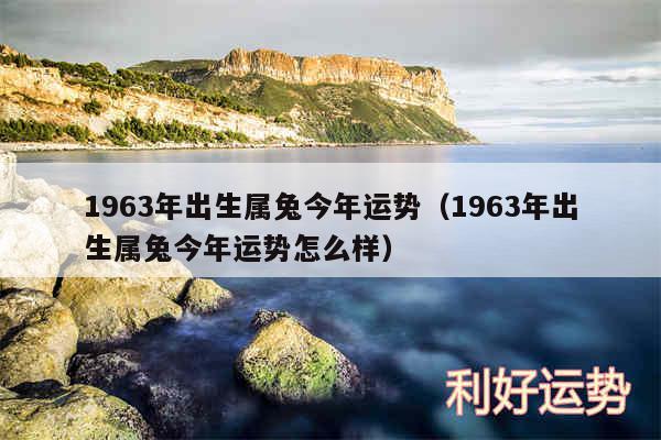 1963年出生属兔今年运势以及1963年出生属兔今年运势怎么样