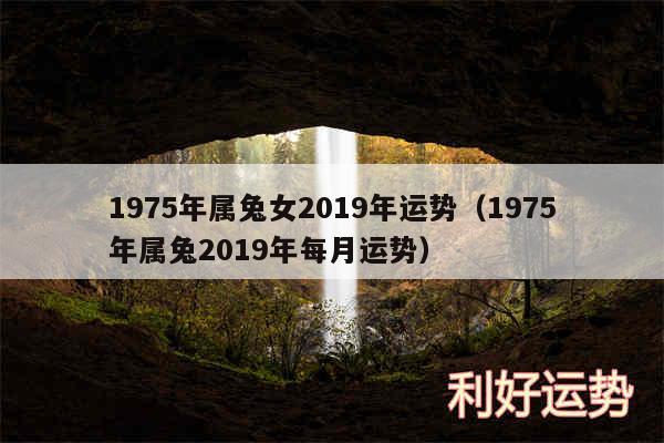 1975年属兔女2019年运势以及1975年属兔2019年每月运势