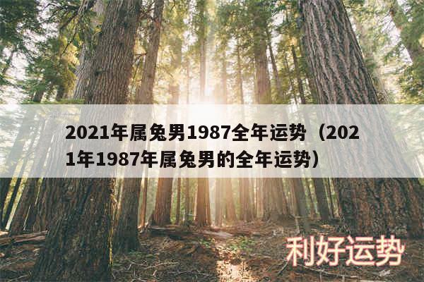 2024年属兔男1987全年运势以及2024年1987年属兔男的全年运势