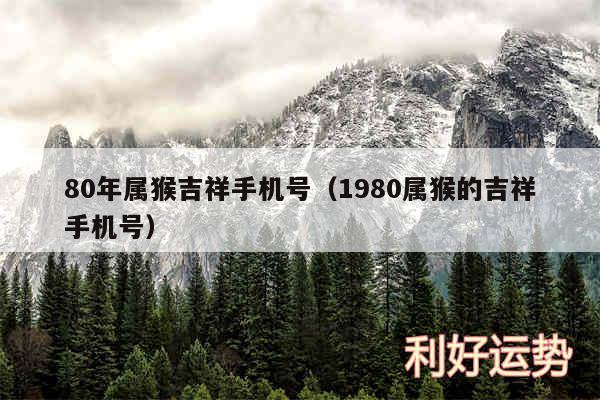 80年属猴吉祥手机号以及1980属猴的吉祥手机号