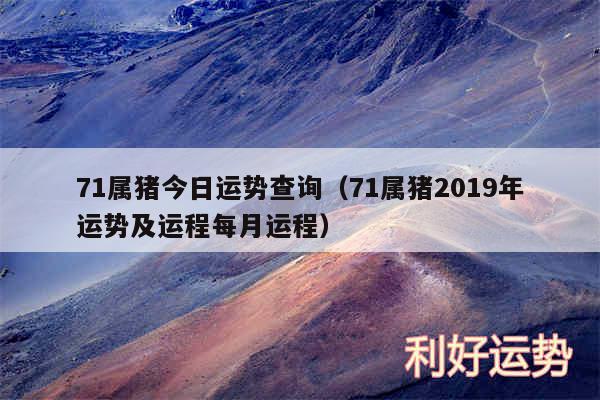 71属猪今日运势查询以及71属猪2019年运势及运程每月运程