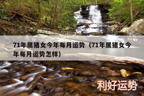 71年属猪女今年每月运势以及71年属猪女今年每月运势怎样