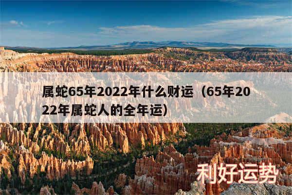 属蛇65年2024年什么财运以及65年2024年属蛇人的全年运