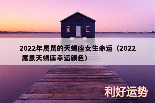 2024年属鼠的天蝎座女生命运以及2024 属鼠天蝎座幸运颜色