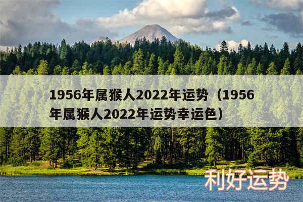 1956年属猴人2024年运势以及1956年属猴人2024年运势幸运色