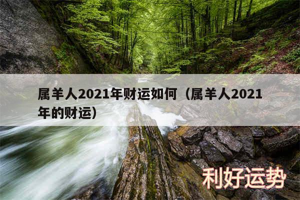 属羊人2024年财运如何以及属羊人2024年的财运