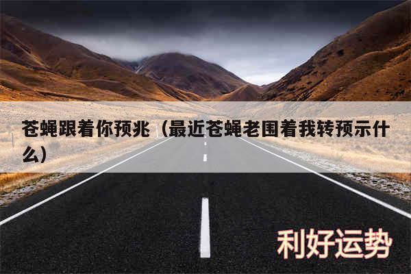 苍蝇跟着你预兆以及最近苍蝇老围着我转预示什么