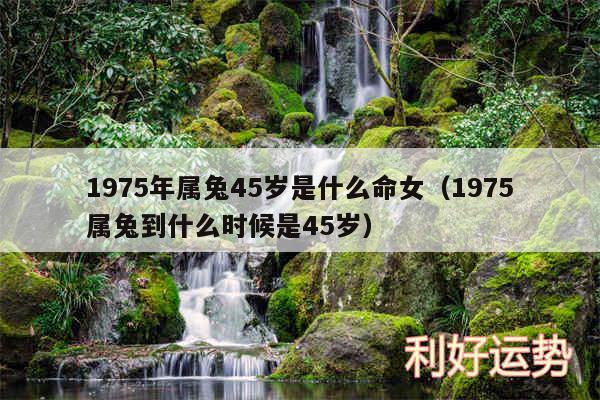 1975年属兔45岁是什么命女以及1975属兔到什么时候是45岁