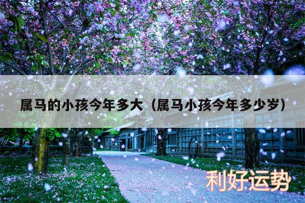 属马的小孩今年多大以及属马小孩今年多少岁